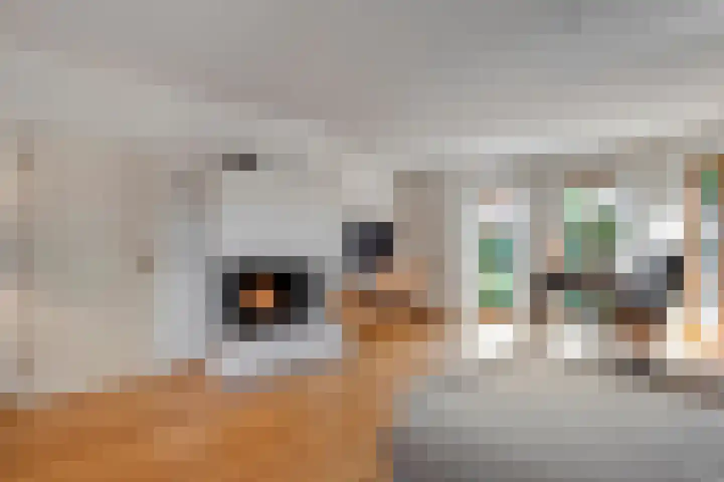 Ulmenstraße 10 Wilsum thumbnail 11
