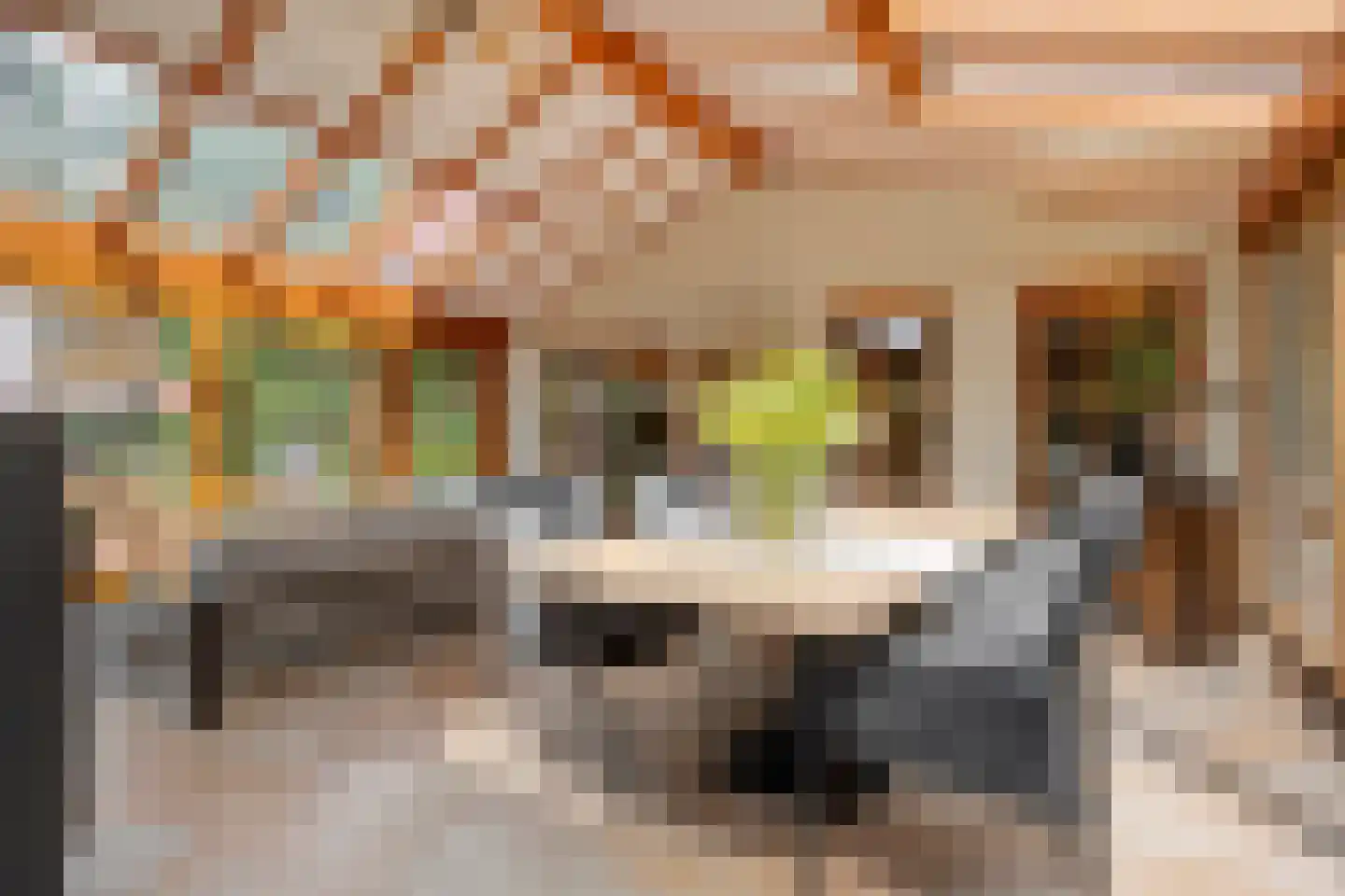 Ulmenstraße 10 Wilsum thumbnail 14