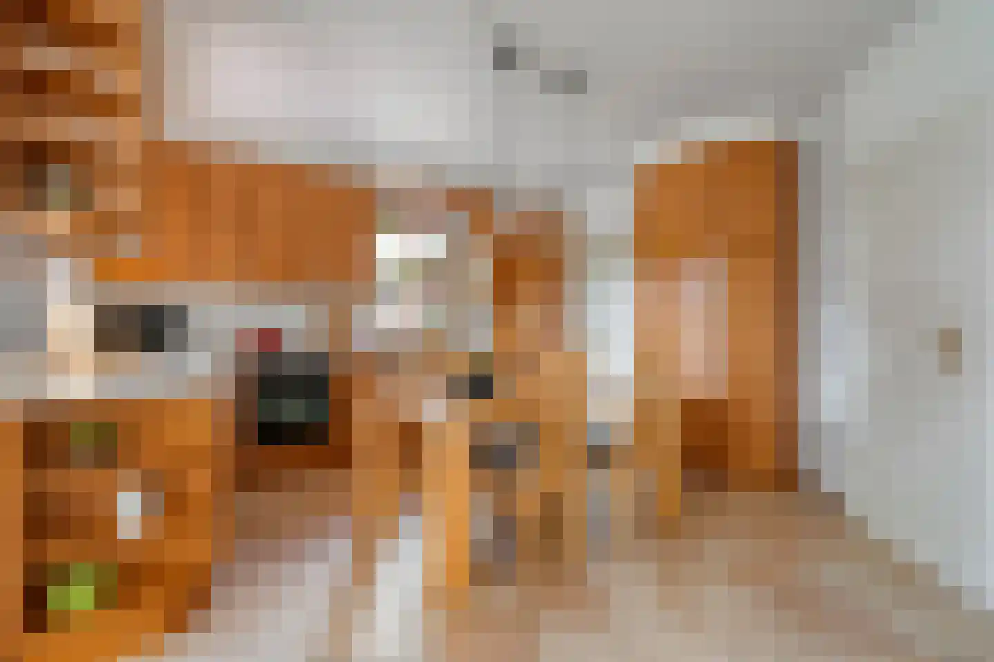 Ulmenstraße 10 Wilsum thumbnail 21