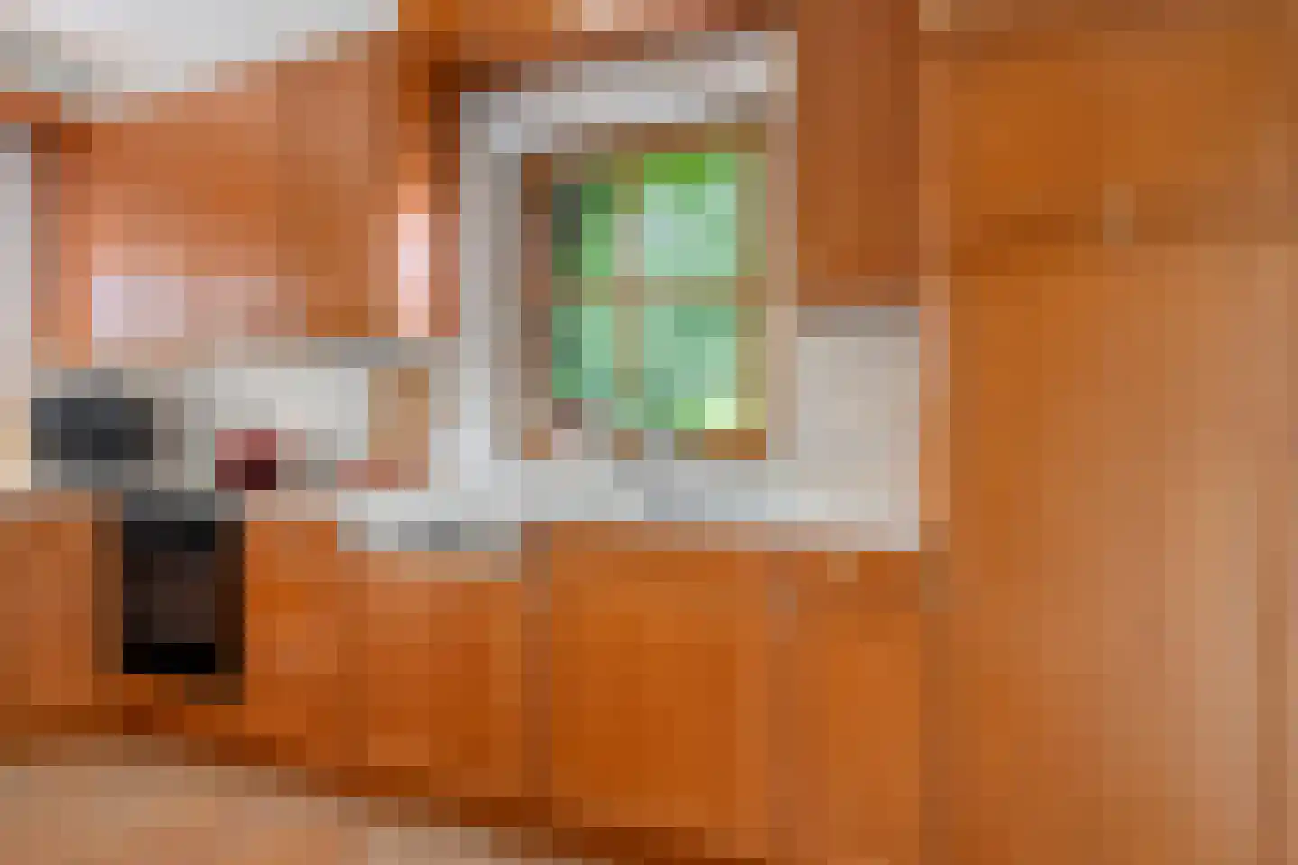 Ulmenstraße 10 Wilsum thumbnail 22