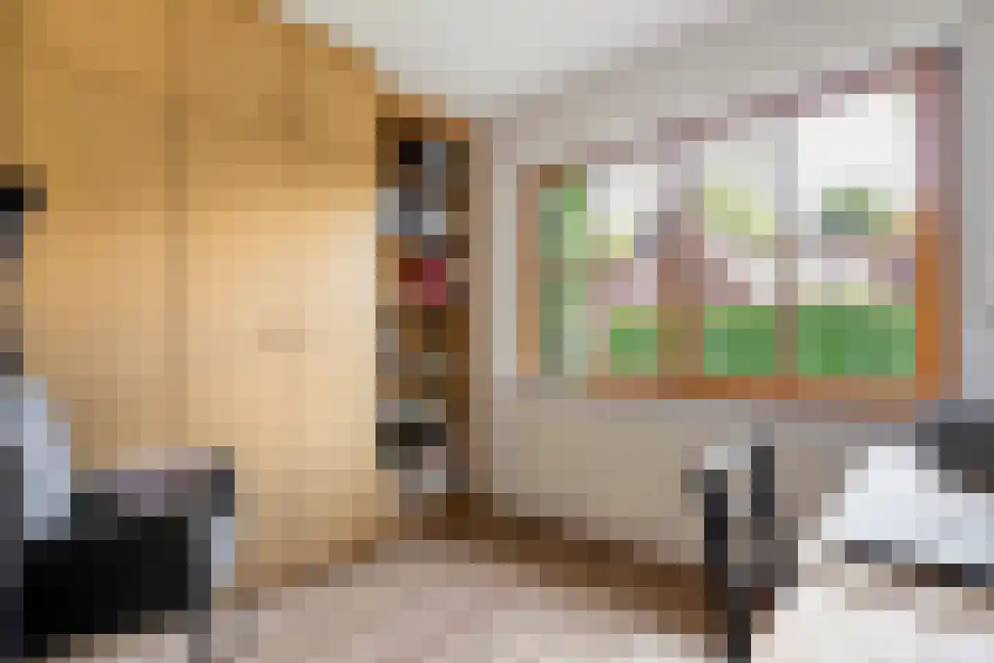 Ulmenstraße 10 Wilsum thumbnail 25