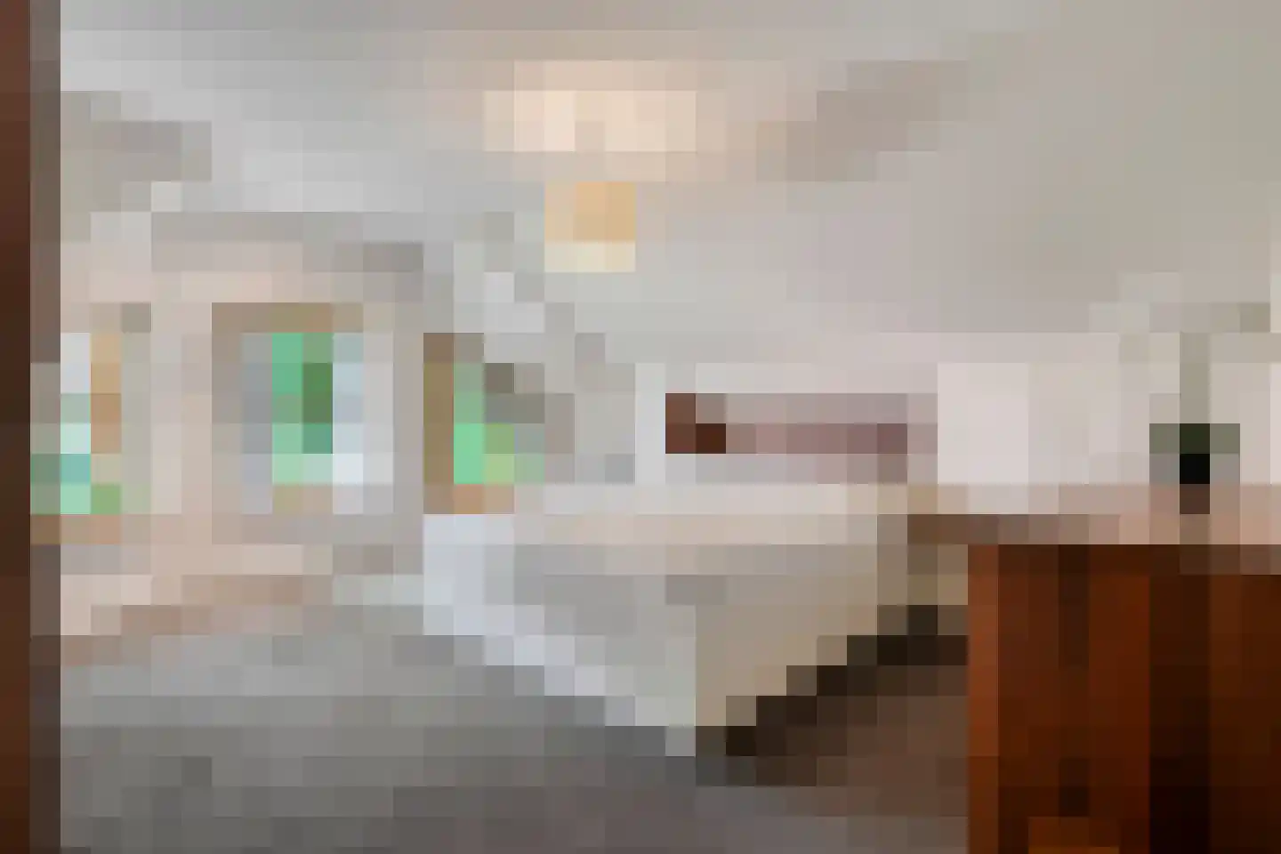 Ulmenstraße 10 Wilsum thumbnail 30