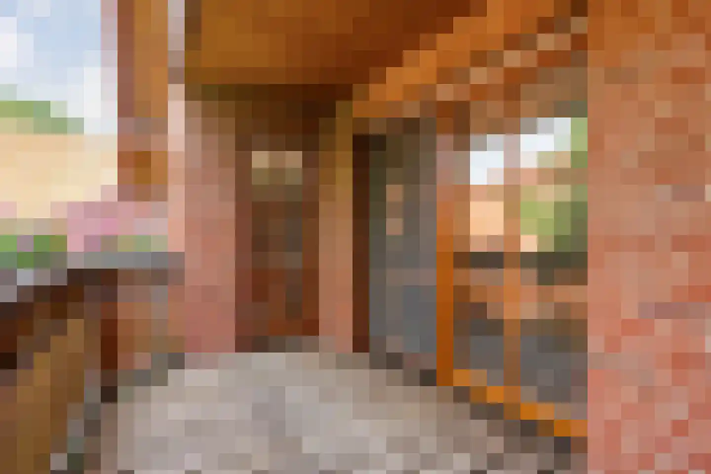 Ulmenstraße 10 Wilsum thumbnail 39