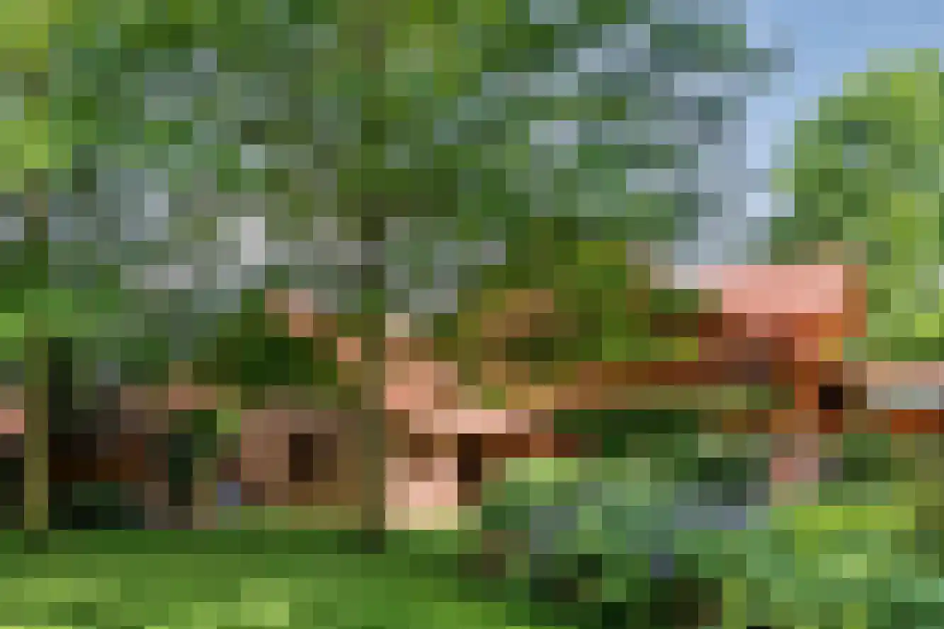 Ulmenstraße 10 Wilsum thumbnail 4