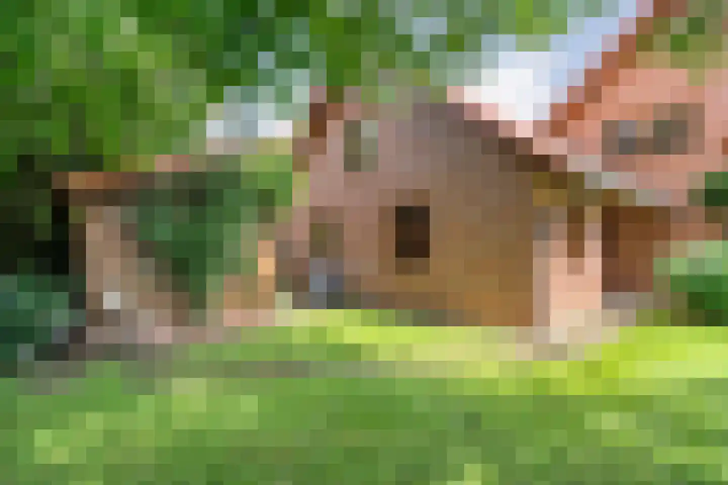Ulmenstraße 10 Wilsum thumbnail 45