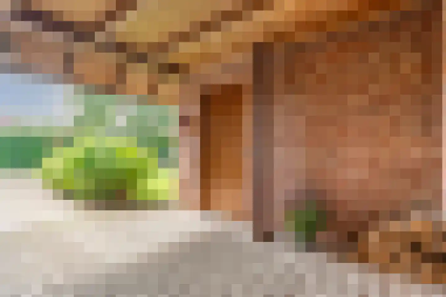 Ulmenstraße 10 Wilsum thumbnail 46