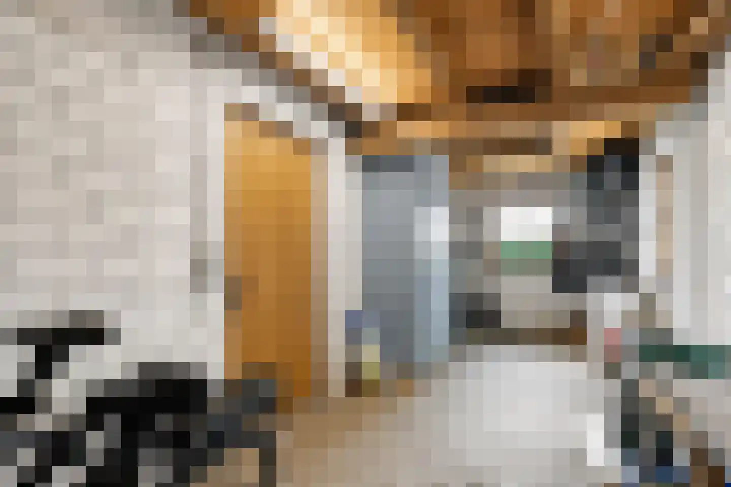 Ulmenstraße 10 Wilsum thumbnail 47