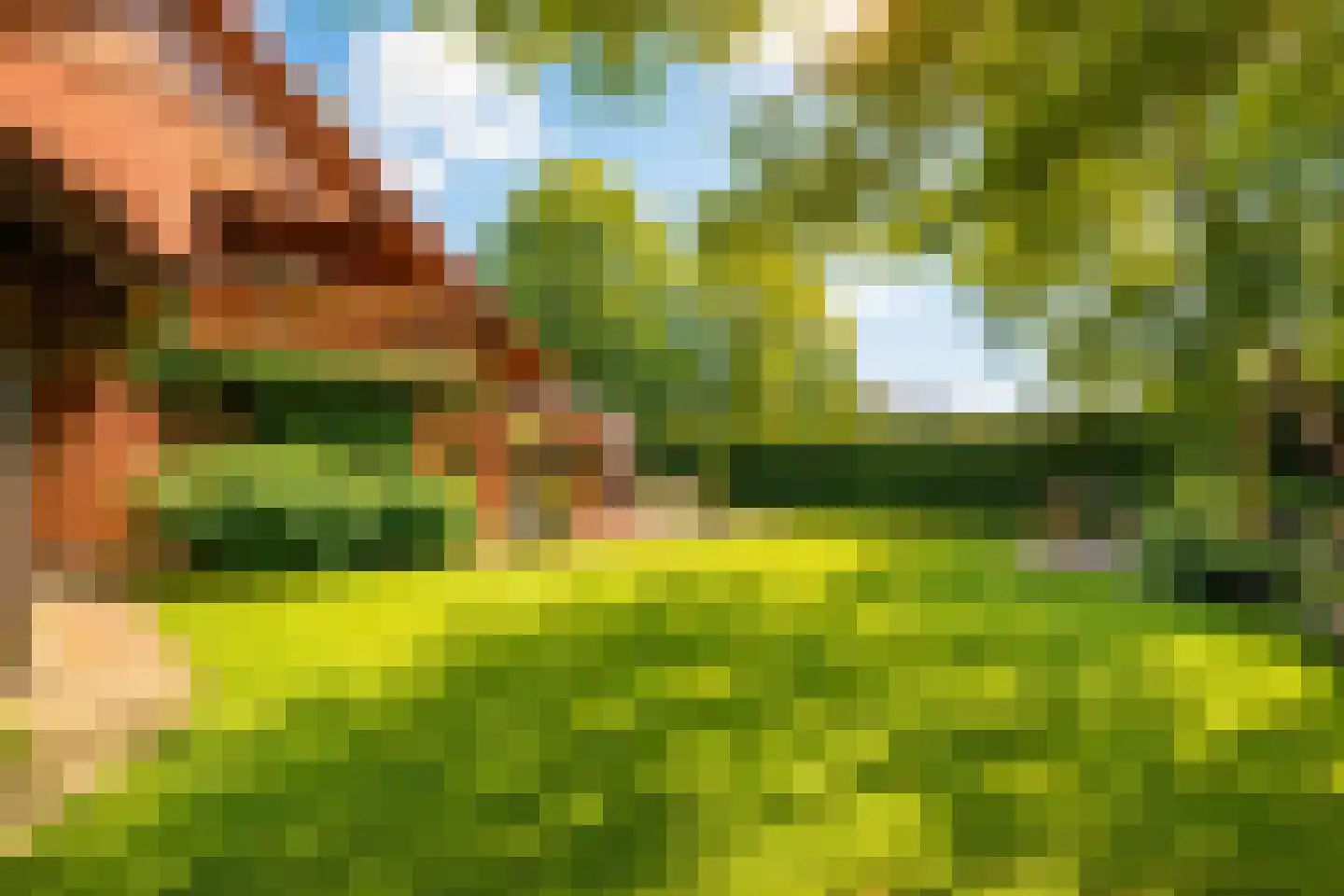 Ulmenstraße 10 Wilsum thumbnail 49