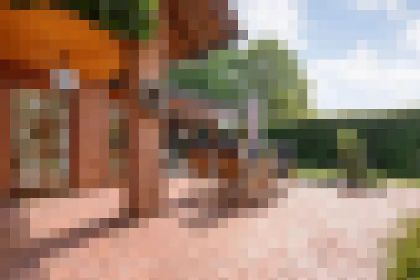 Ulmenstraße 10 Wilsum thumbnail 50