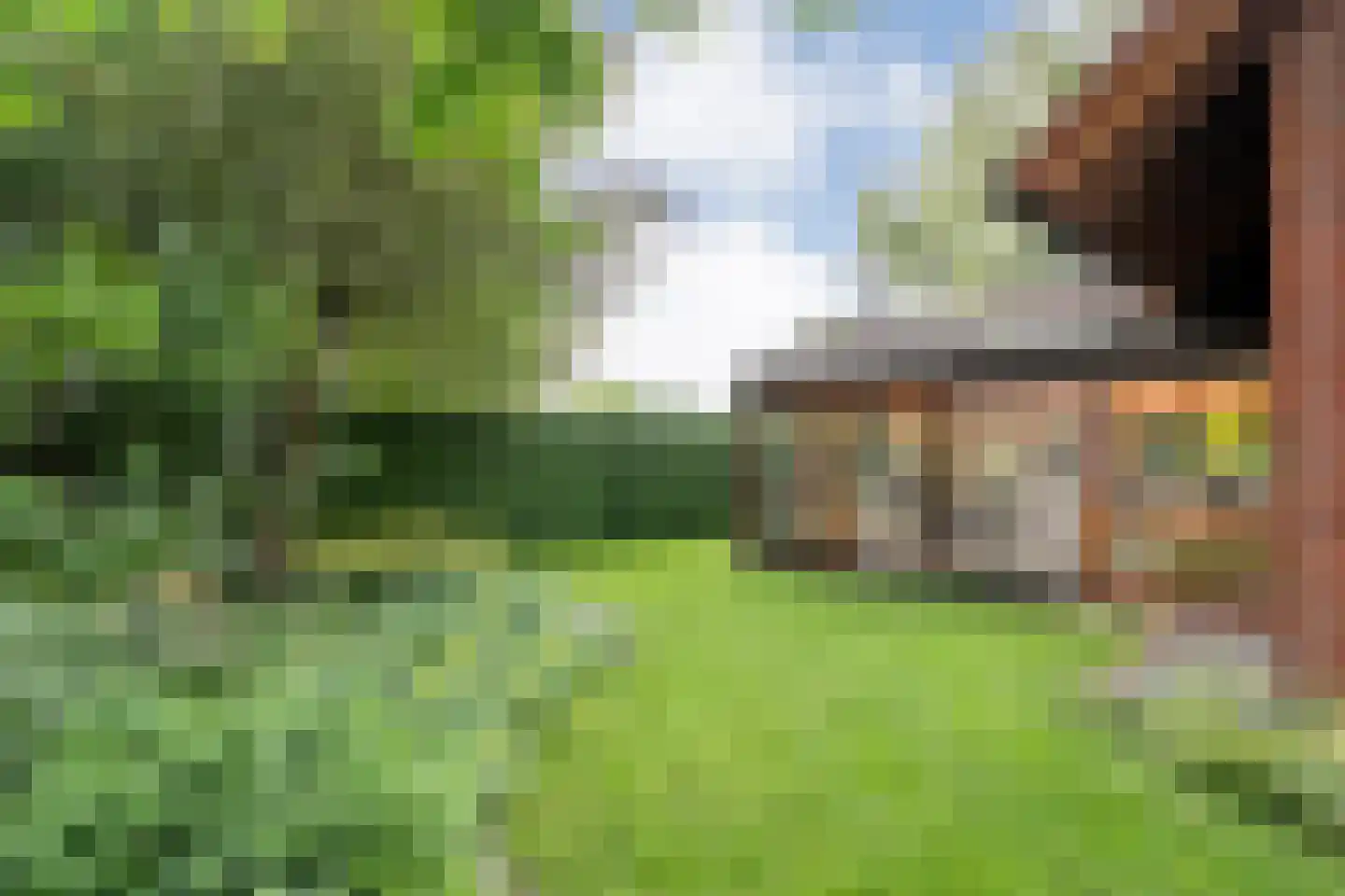 Ulmenstraße 10 Wilsum thumbnail 52