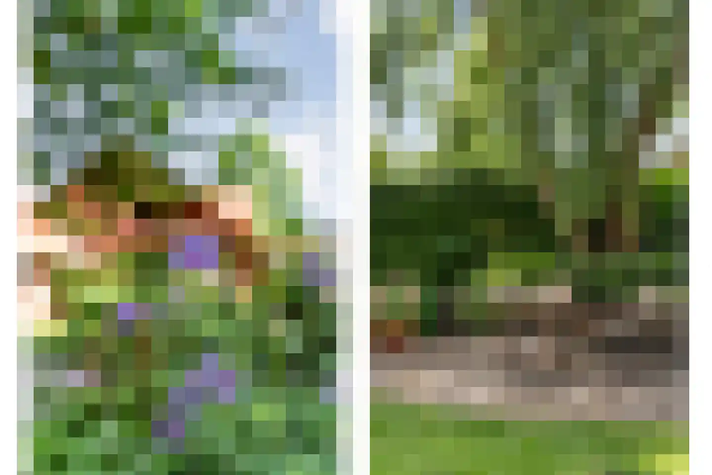 Ulmenstraße 10 Wilsum thumbnail 53