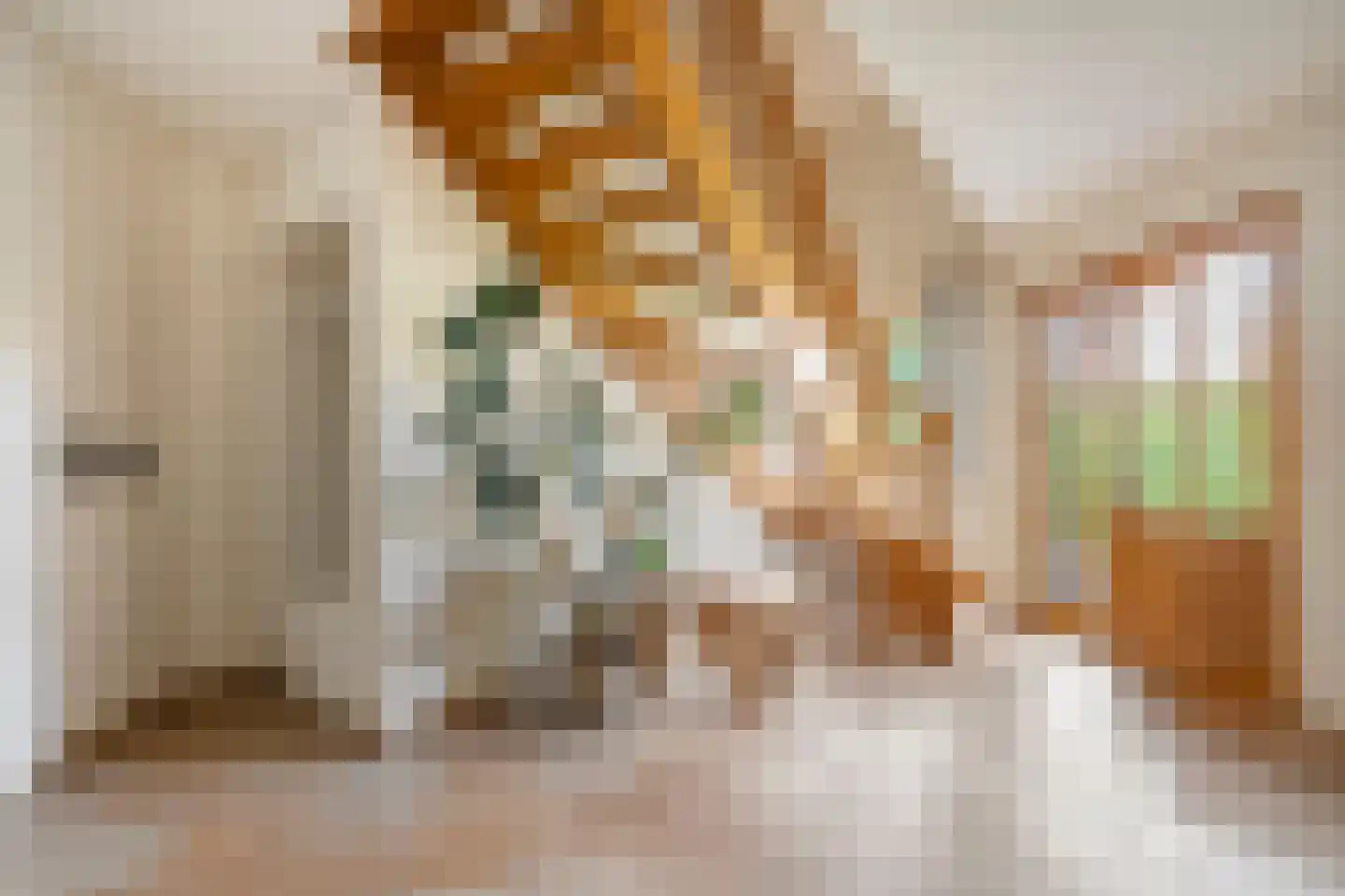 Ulmenstraße 10 Wilsum thumbnail 6
