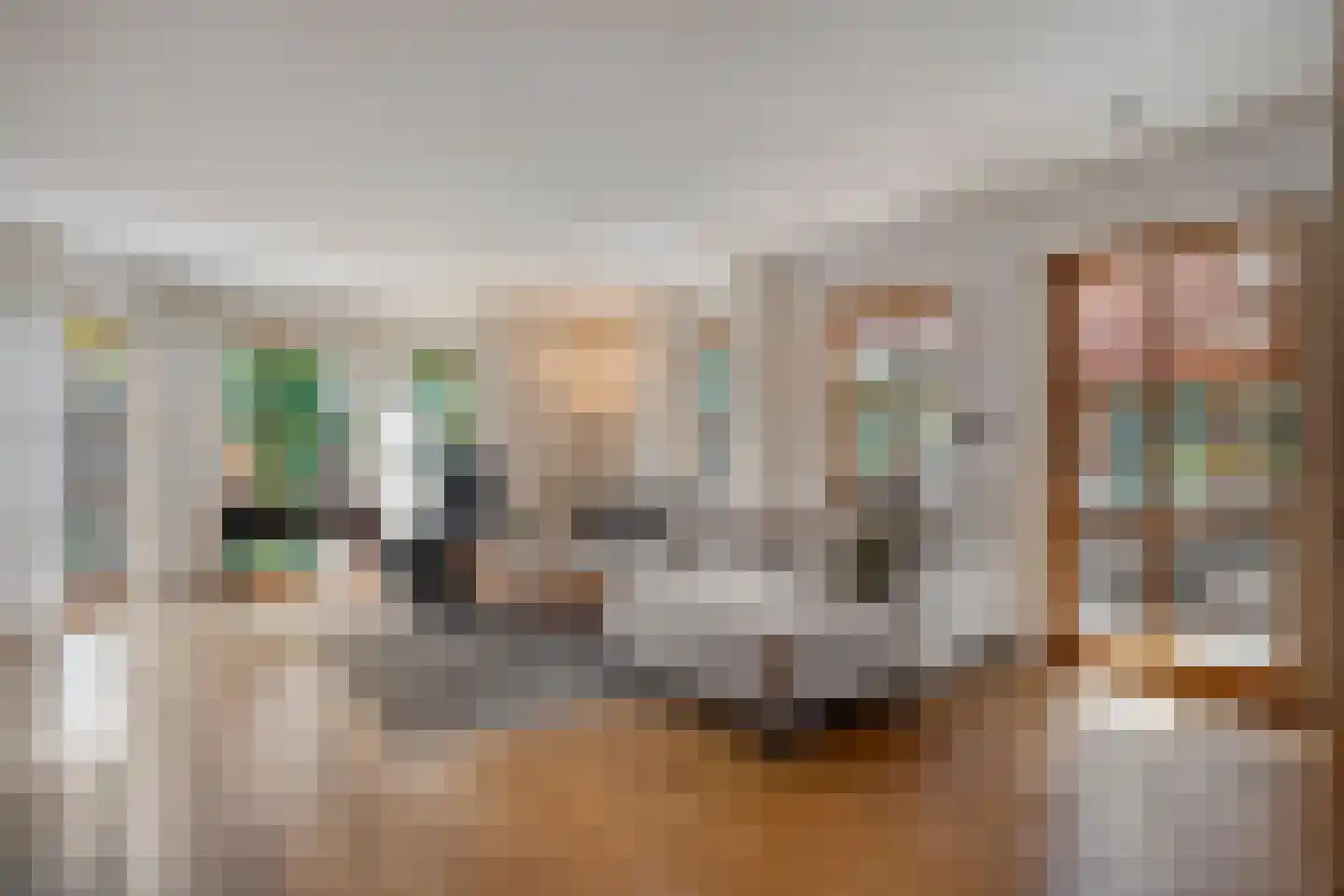 Ulmenstraße 10 Wilsum thumbnail 8