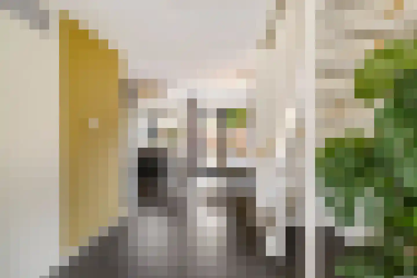 Ulohof 10 Assen thumbnail 20