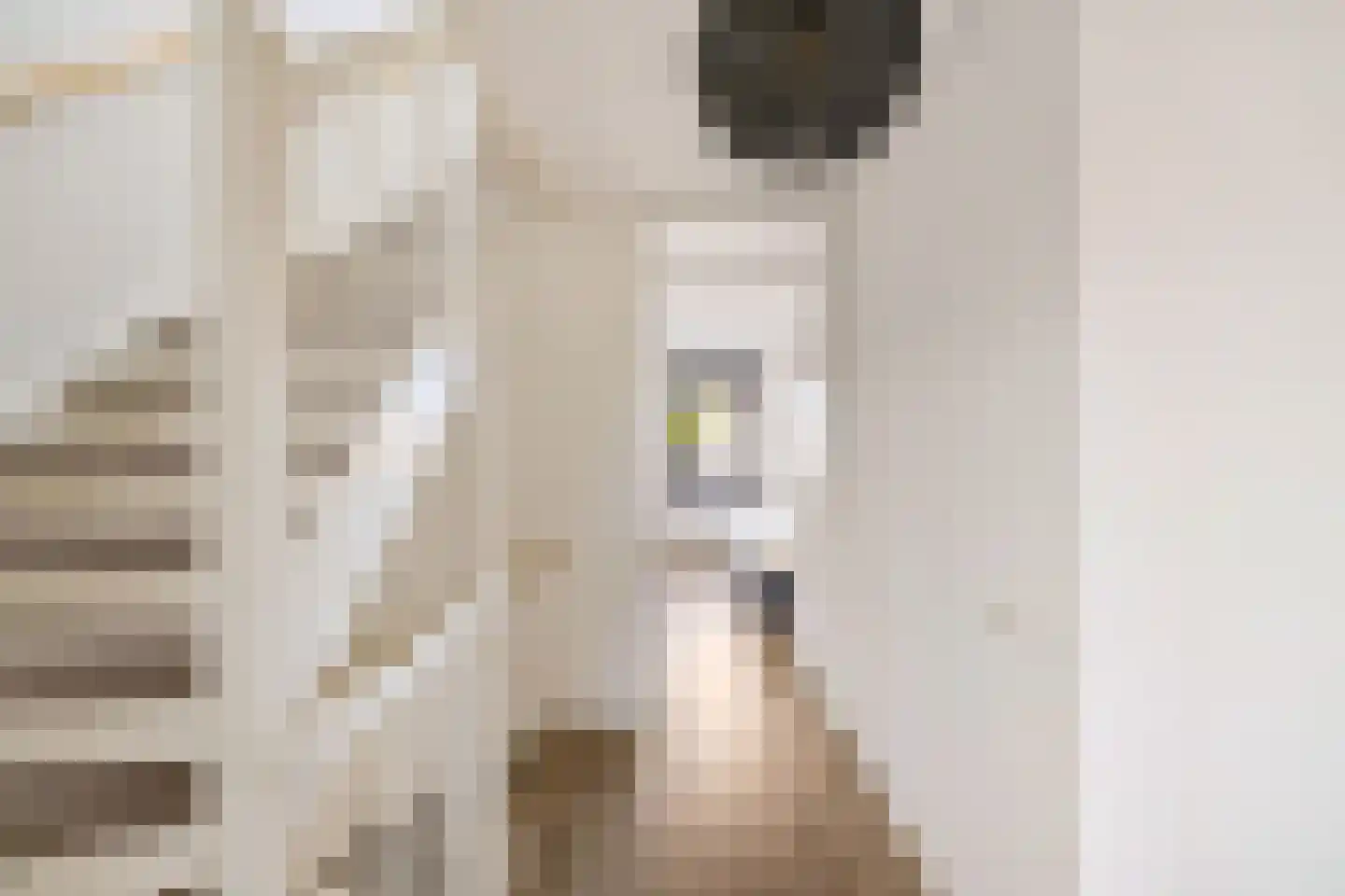 Ulohof 10 Assen thumbnail 35