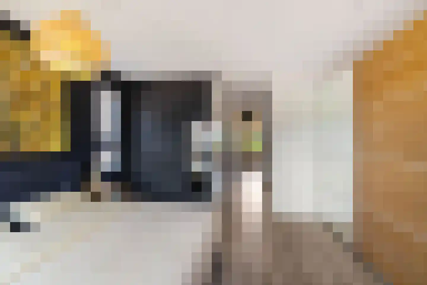 Ulohof 10 Assen thumbnail 38