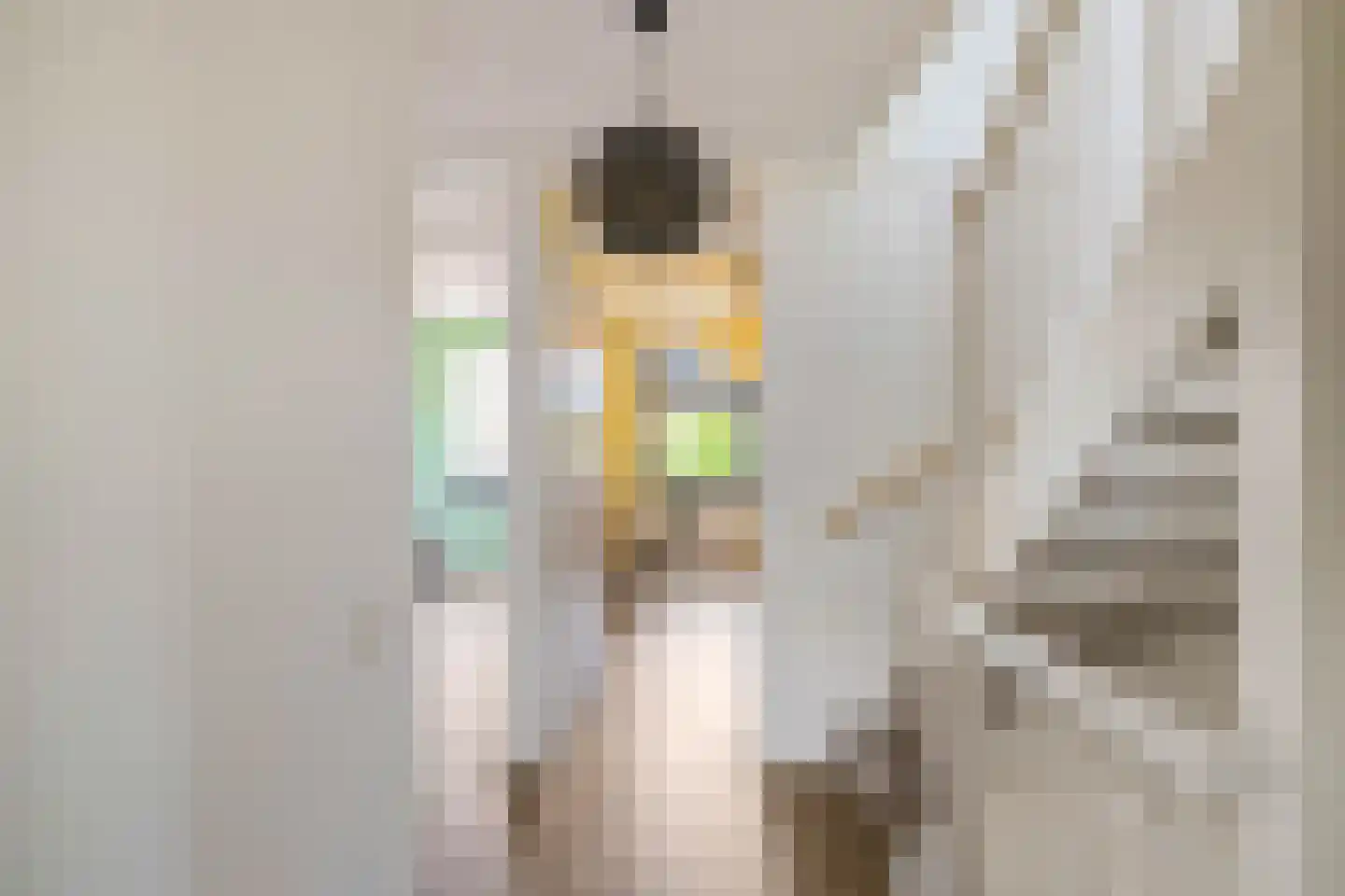 Ulohof 10 Assen thumbnail 39