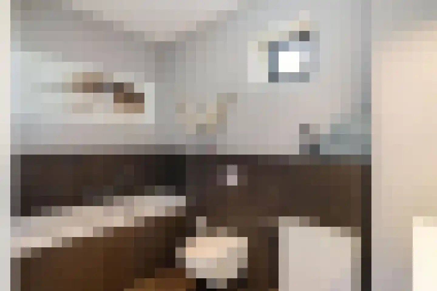 Ulohof 10 Assen thumbnail 46