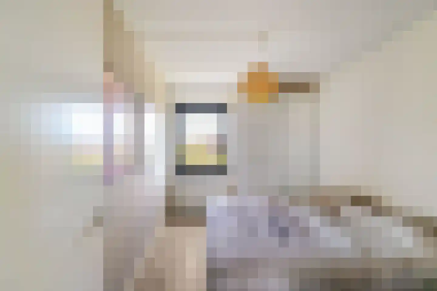 Ulohof 10 Assen thumbnail 52