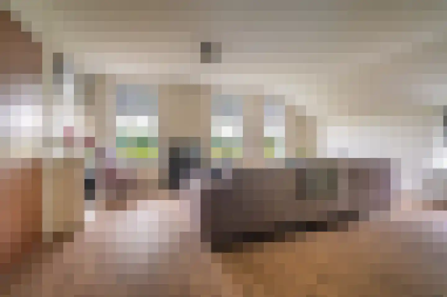 Ulsderweg 11 Beerta thumbnail 11