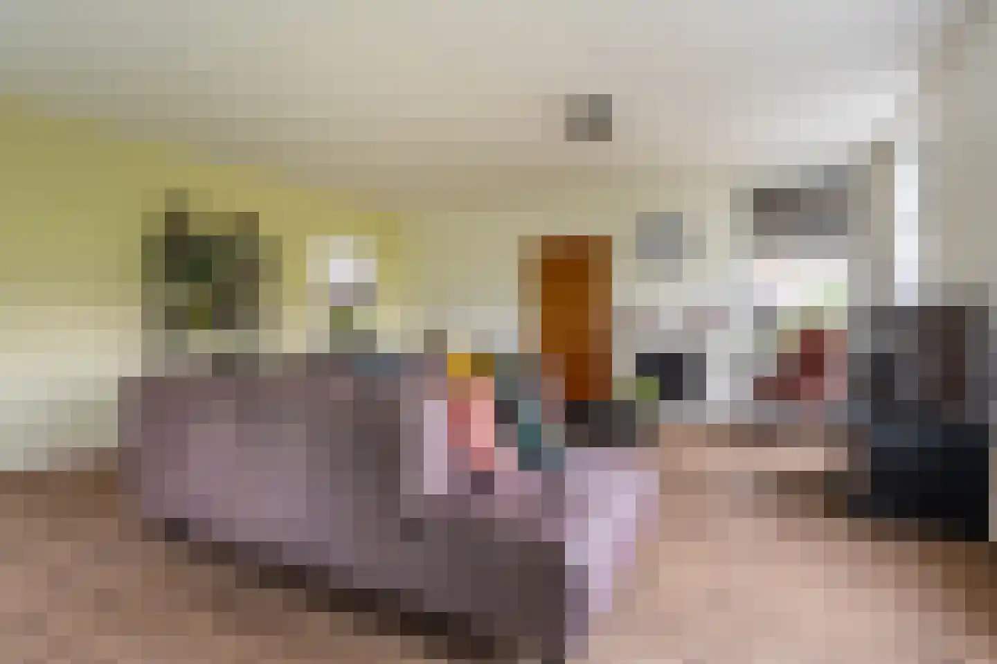 Ulsderweg 11 Beerta thumbnail 14