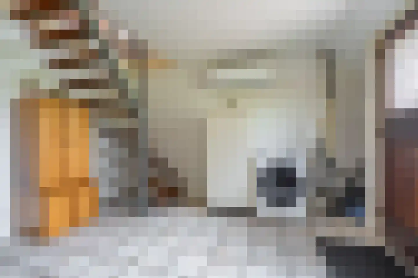 Ulsderweg 11 Beerta thumbnail 21