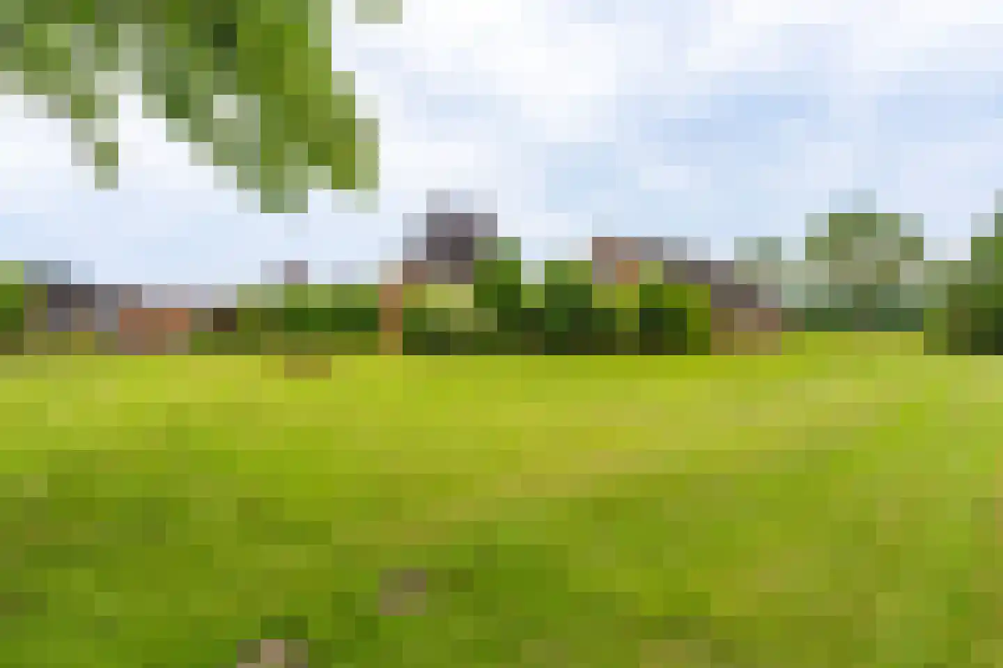 Ulsderweg 11 Beerta thumbnail 46