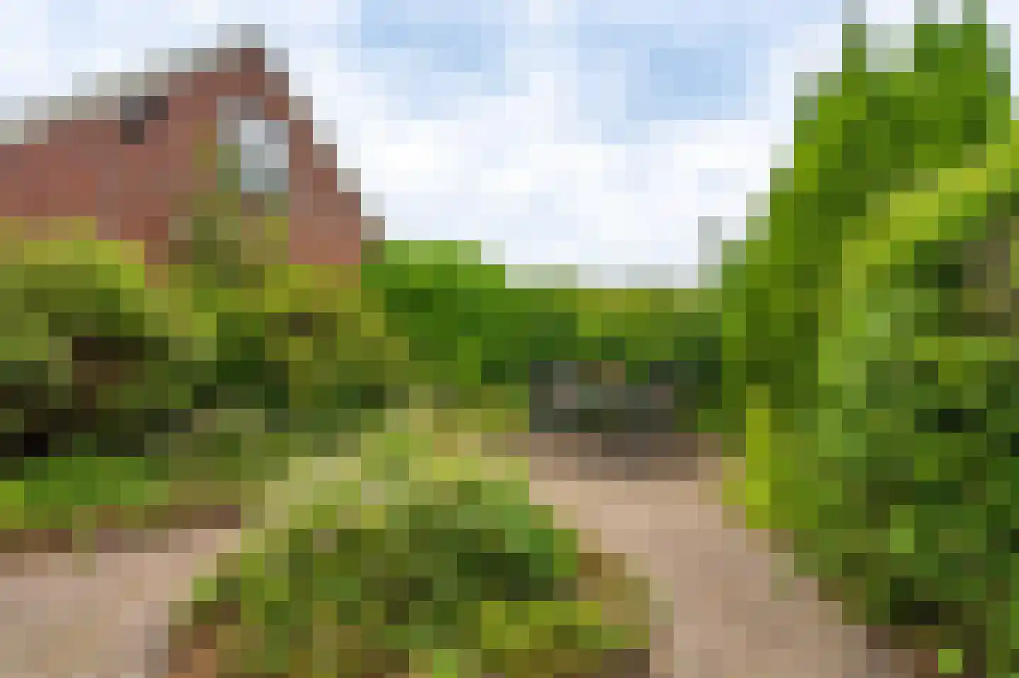 Ulsderweg 11 Beerta thumbnail 53