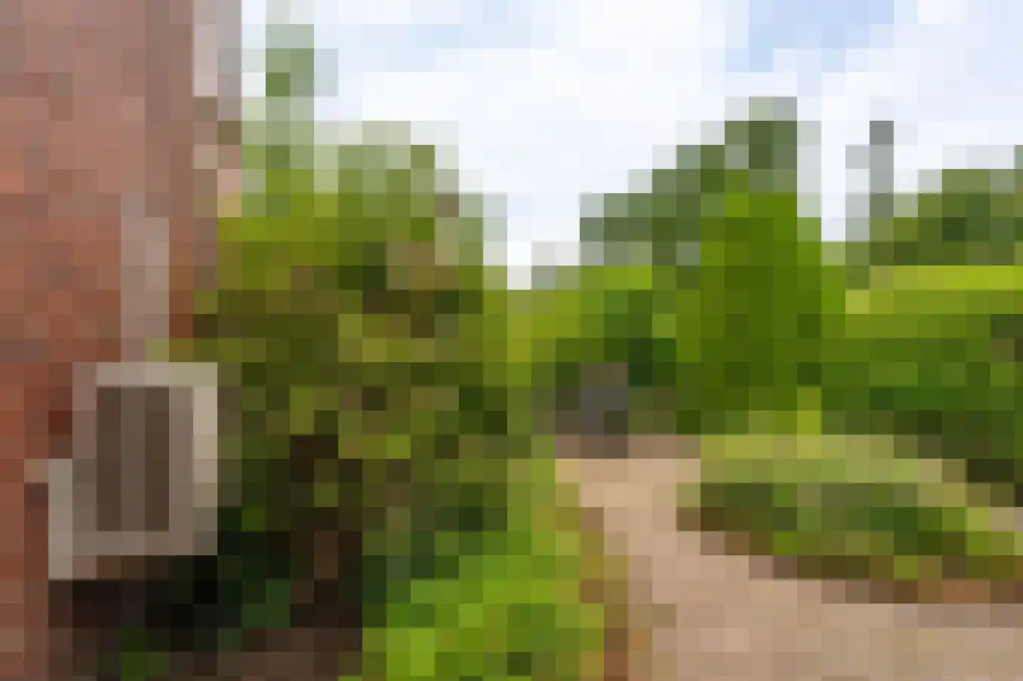 Ulsderweg 11 Beerta thumbnail 54