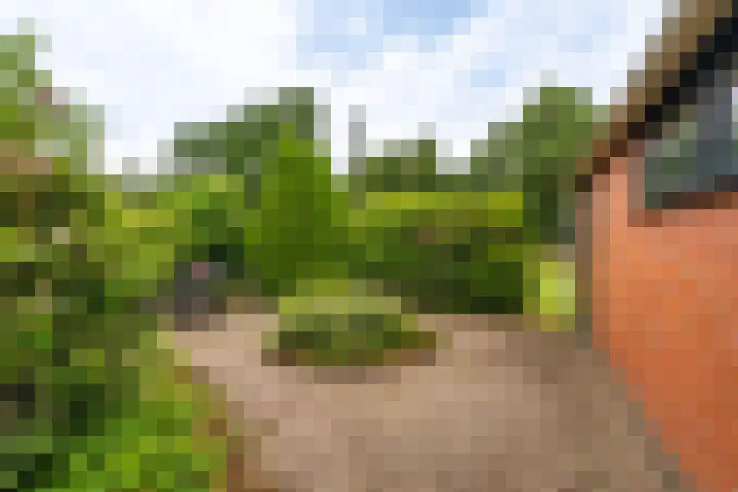 Ulsderweg 11 Beerta thumbnail 55