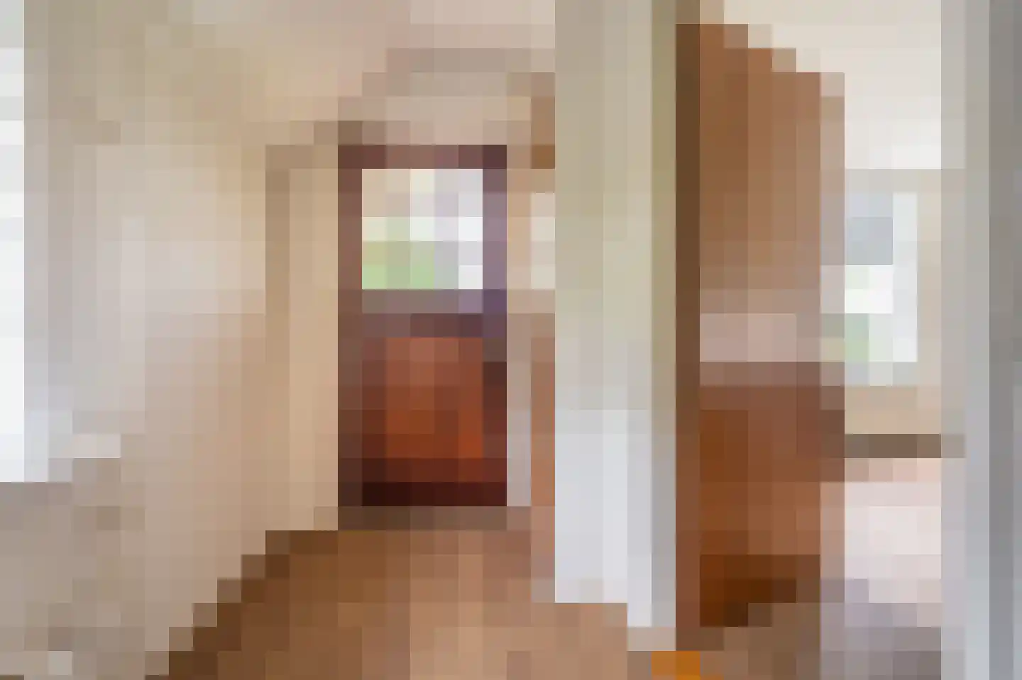 Ulsderweg 11 Beerta thumbnail 9
