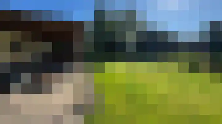 Ulsderweg 31 Beerta thumbnail 17