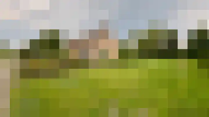 Ulsderweg 31 Beerta thumbnail 20