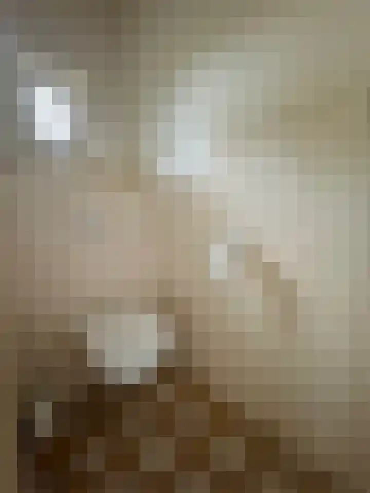 Ulsderweg 31 Beerta thumbnail 4