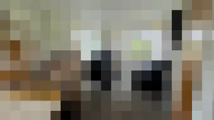 Ulsderweg 31 Beerta thumbnail 5