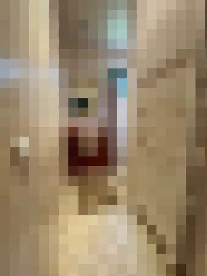 Ulsderweg 31 Beerta thumbnail 8