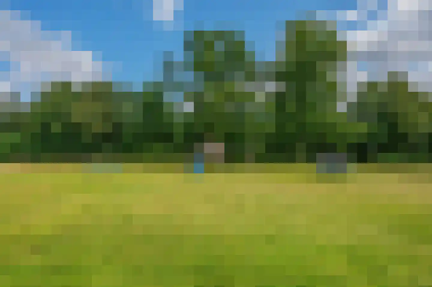 Ulsderweg 9 Beerta thumbnail 37