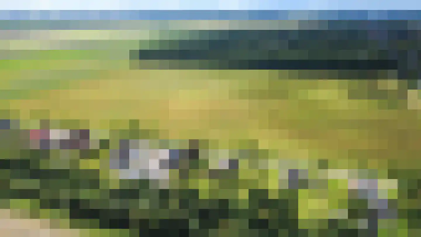 Ulsderweg 9 Beerta thumbnail 45