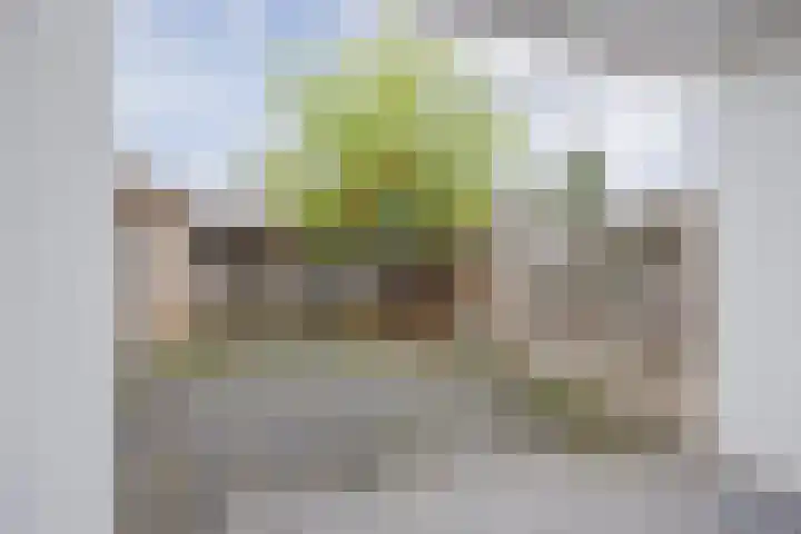 Ulsheggerweg 27 Lottum thumbnail 27