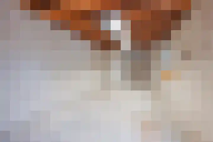 Ulsheggerweg 27 Lottum thumbnail 32