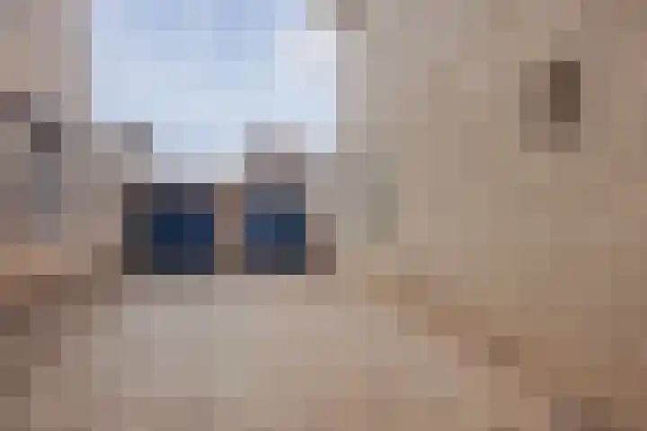 Ulsheggerweg 27 Lottum thumbnail 35