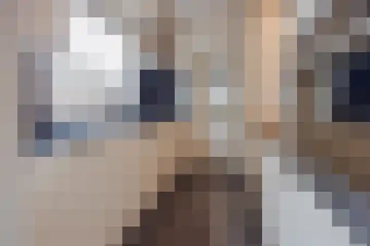 Ulsheggerweg 27 Lottum thumbnail 9
