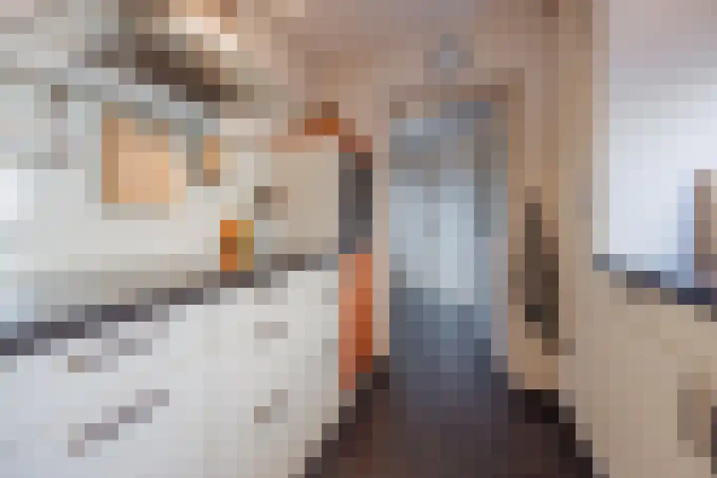 Ulsheggerweg 29 Lottum thumbnail 10