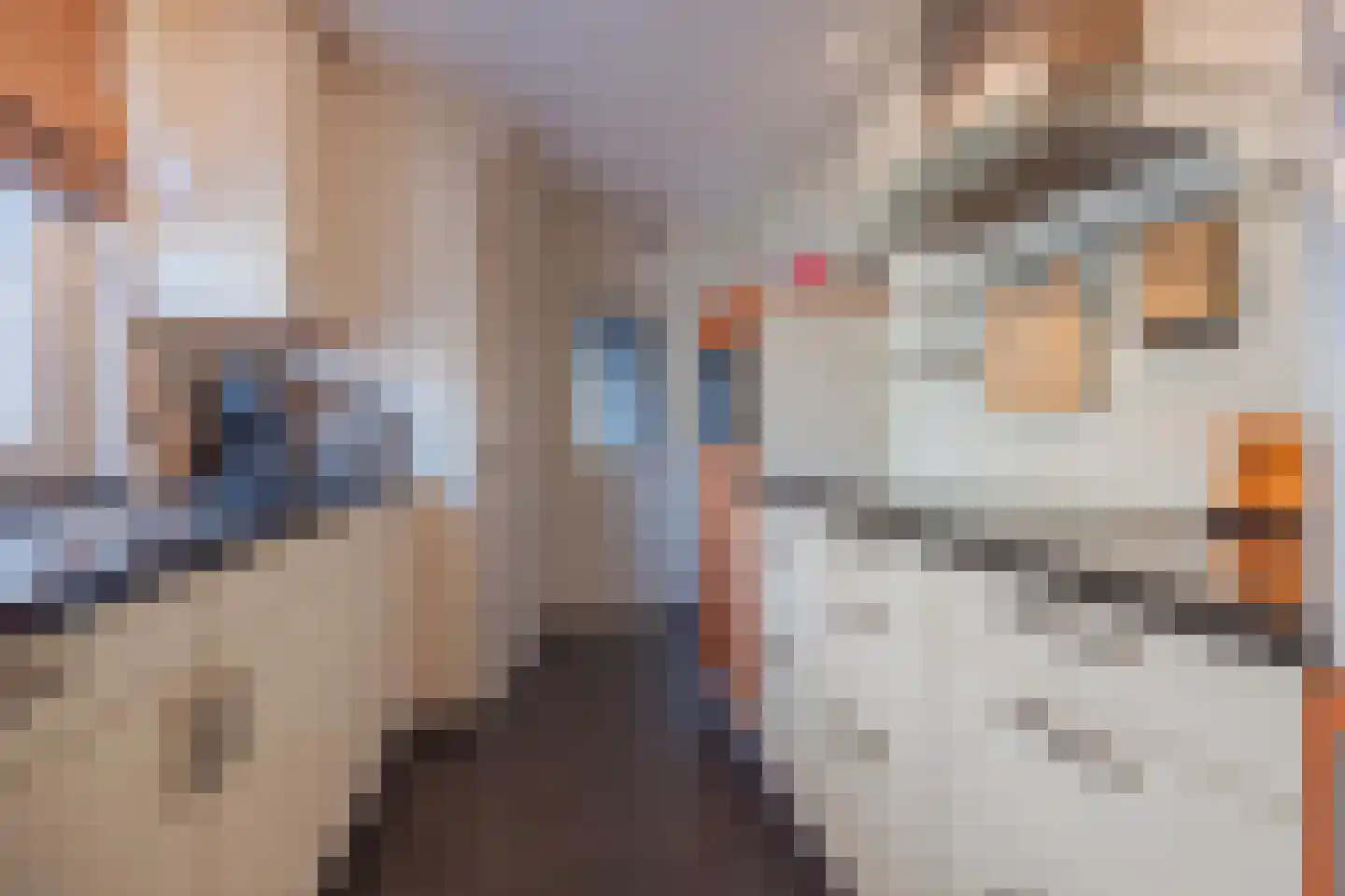 Ulsheggerweg 29 Lottum thumbnail 11