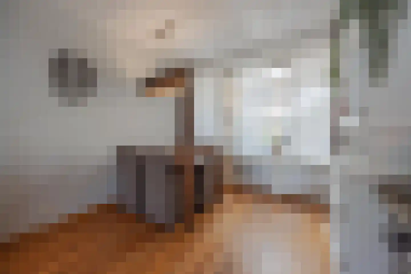 Ulsheggerweg 29 Lottum thumbnail 12