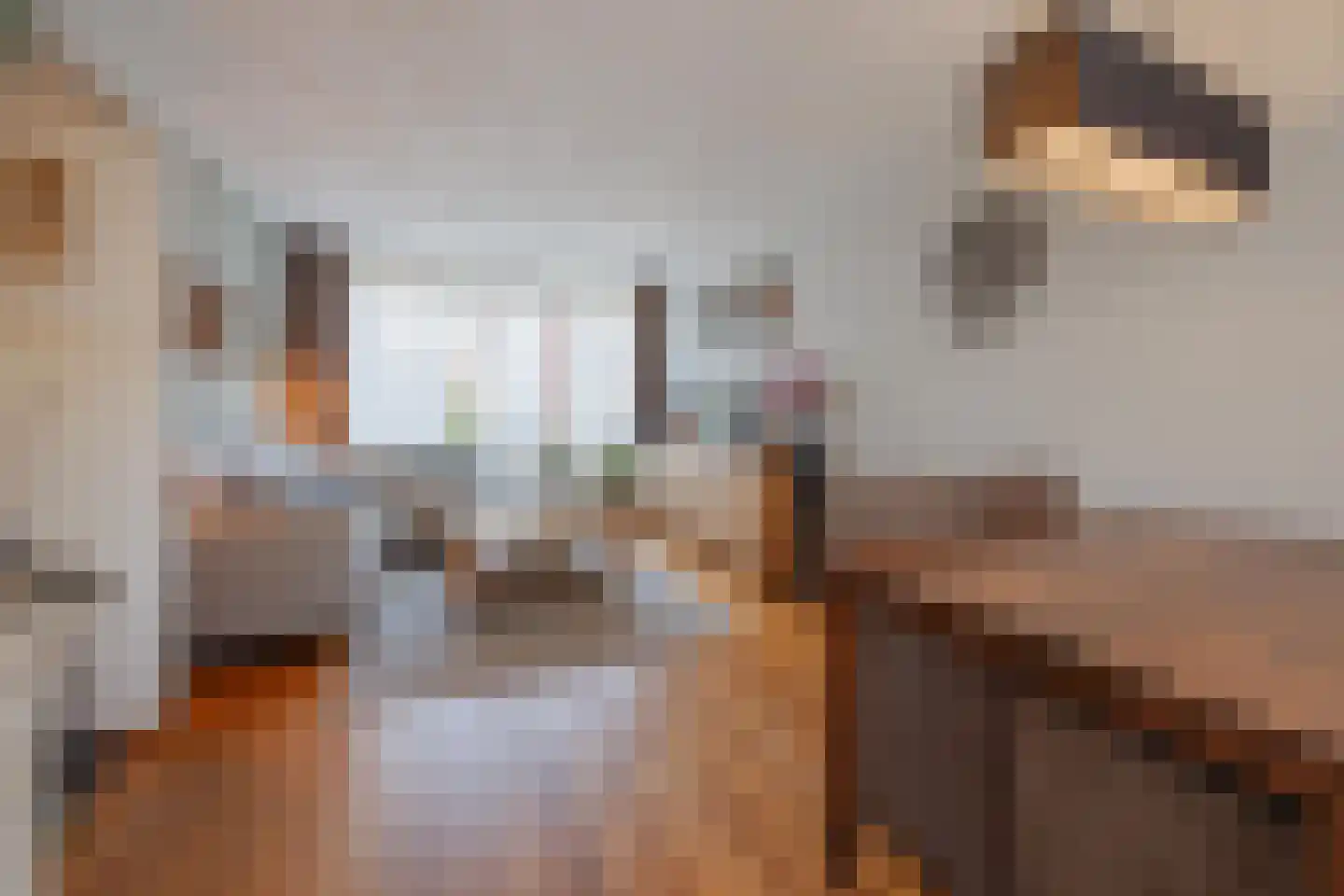 Ulsheggerweg 29 Lottum thumbnail 14