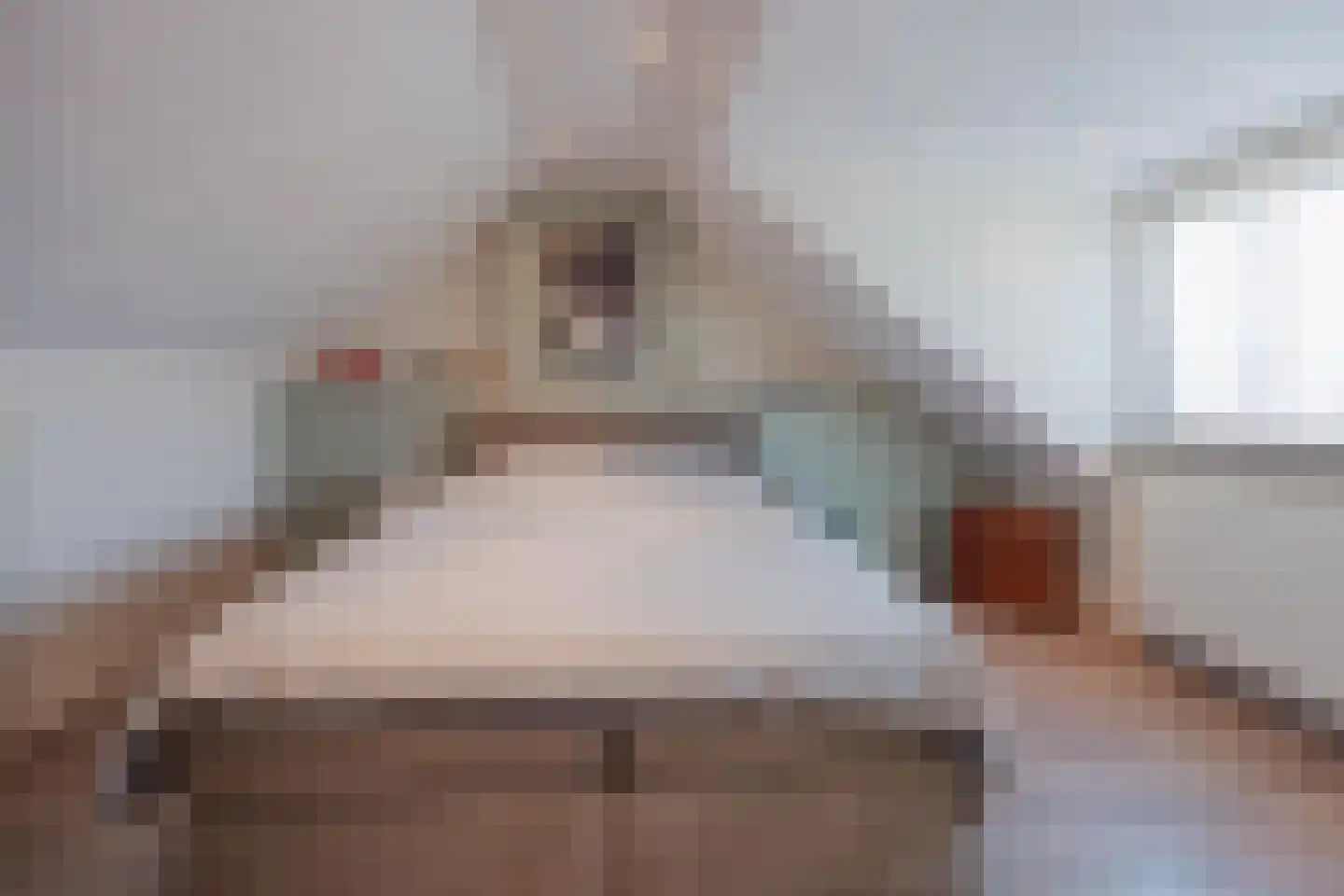 Ulsheggerweg 29 Lottum thumbnail 30