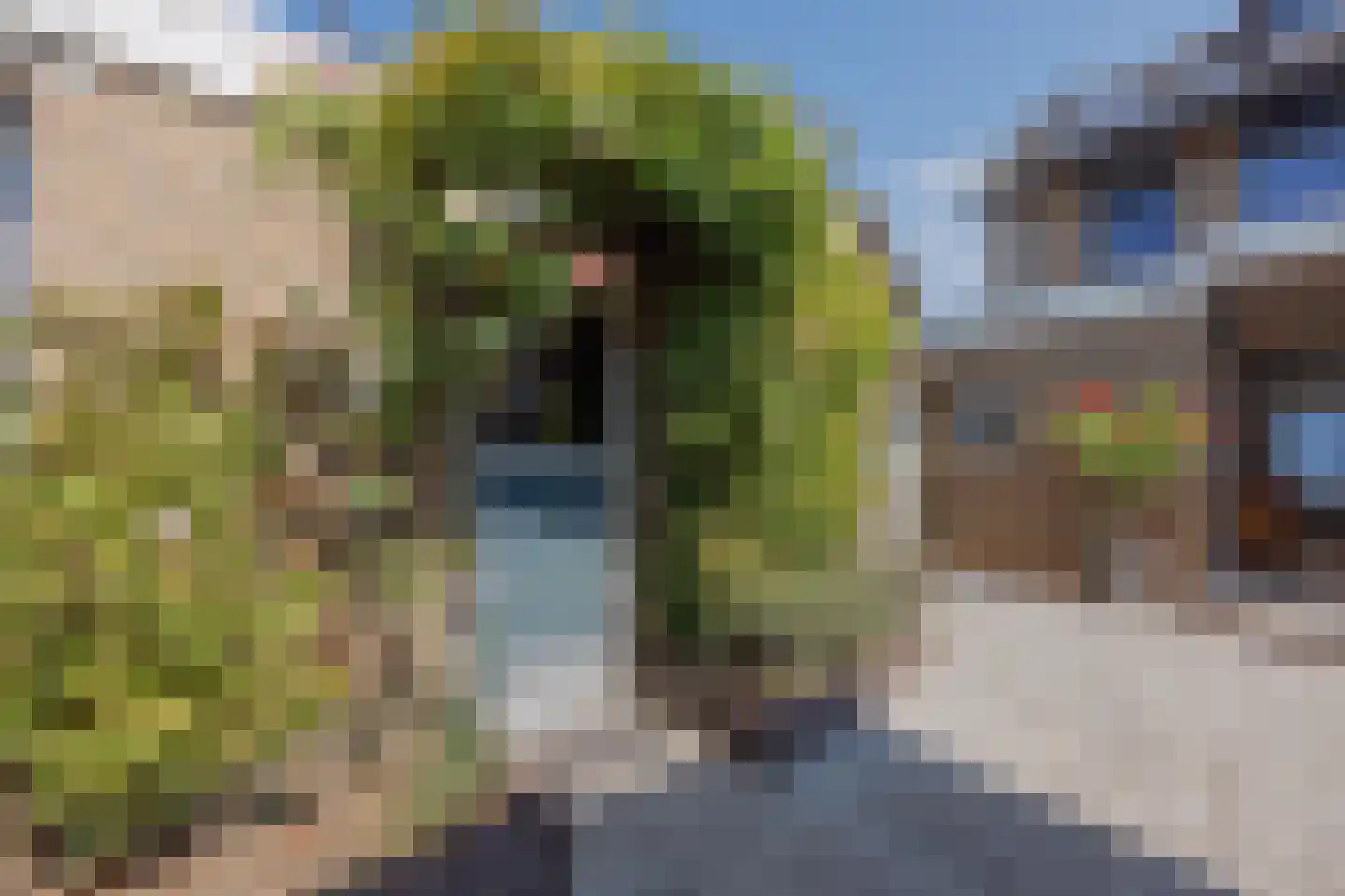 Ulsheggerweg 29 Lottum thumbnail 40
