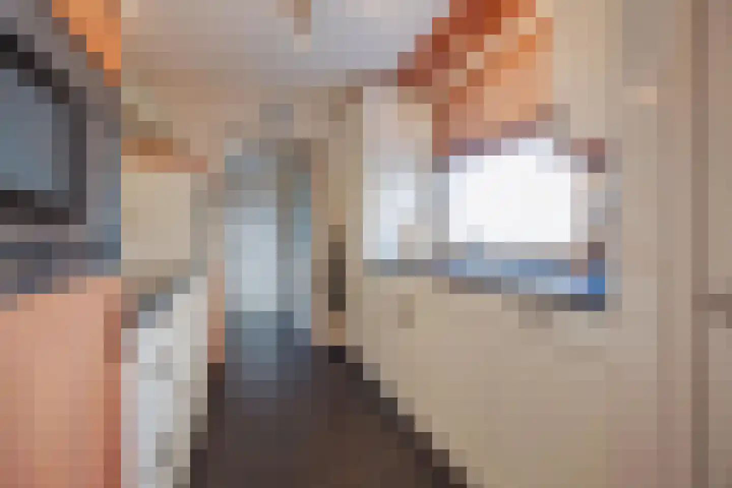 Ulsheggerweg 29 Lottum thumbnail 5