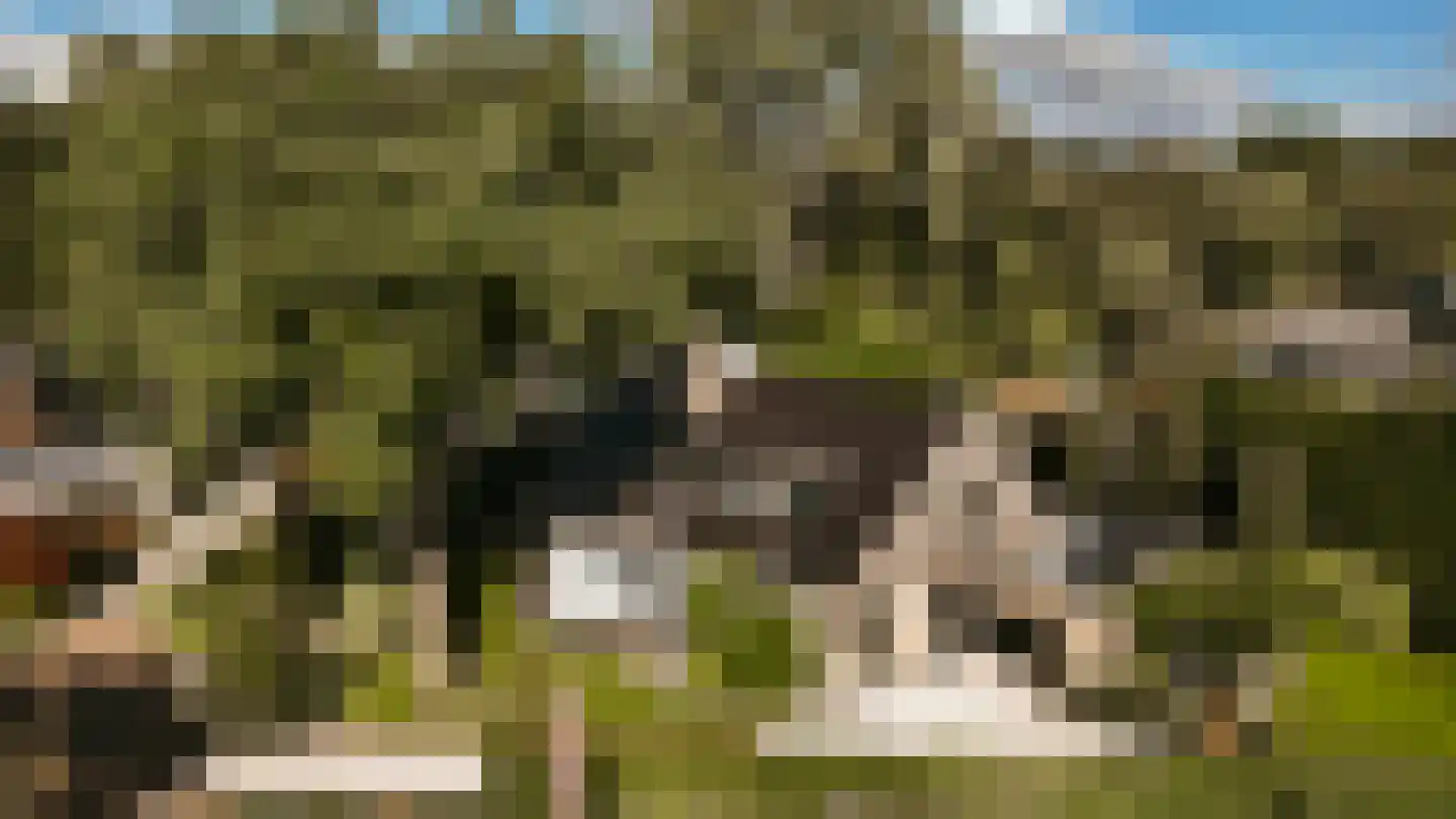 Ulst 24 Nijkerk